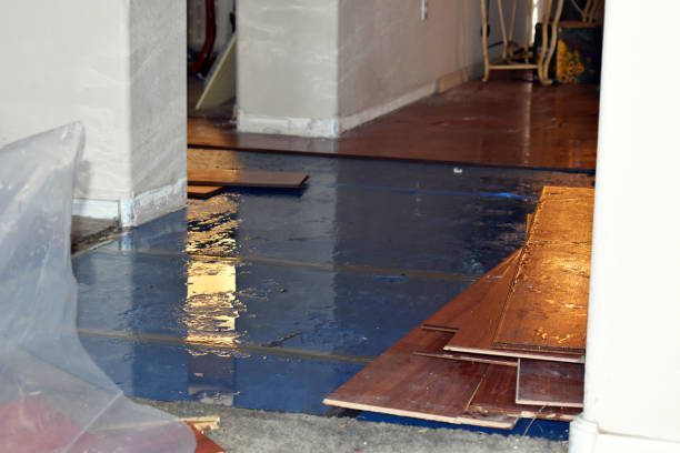 Professional Basement Water Removal technician working in Purmela, TX